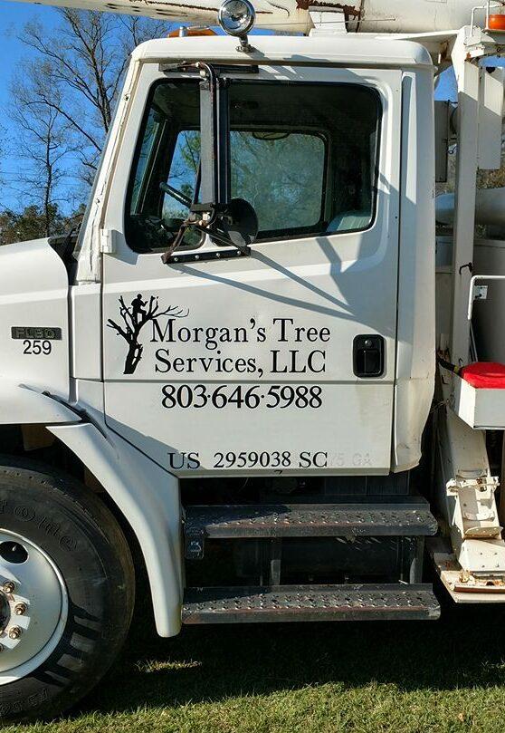 Morgan's Tree Service truck with contact information on door.