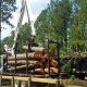 Crane moving large cut logs onto a tracker trailer bed.